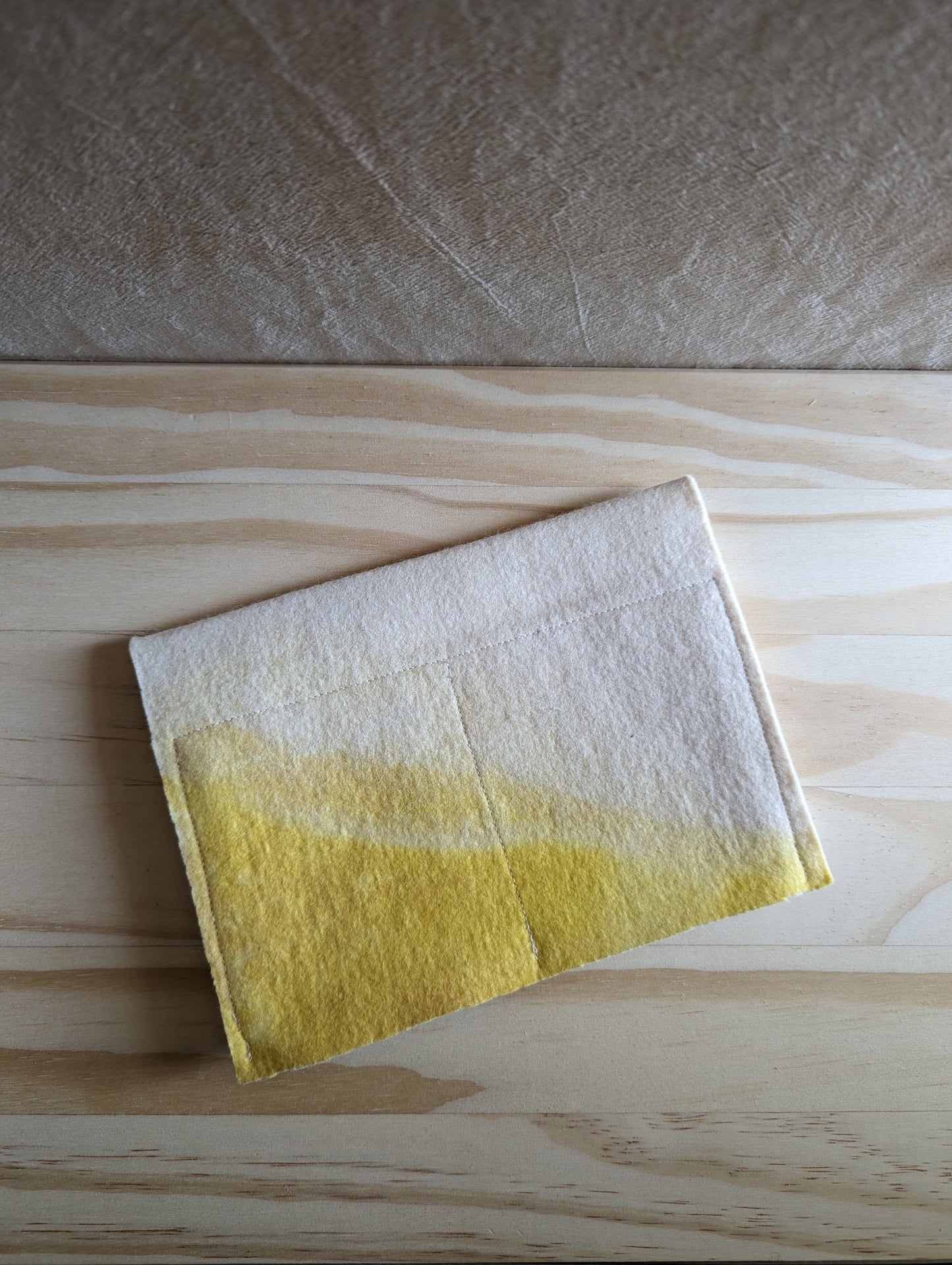 Pouch for interchangeable needles